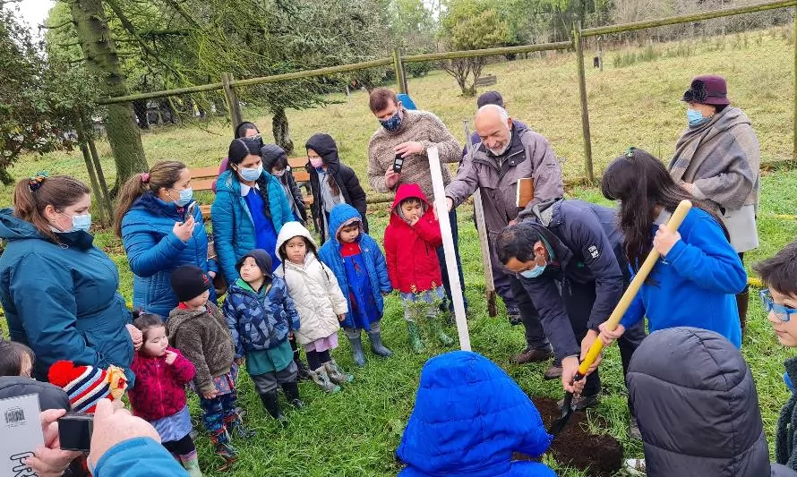 Siembran más de 90 árboles nativos en Osorno 