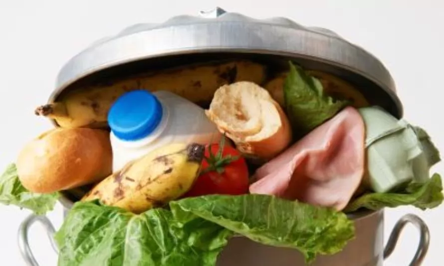 Cómo nutrirse y consumir alimentos responsablemente contribuye a la sostenibilidad
