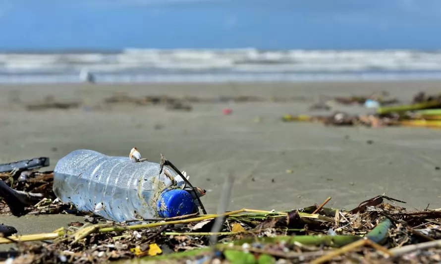 Ciudadanos podrán denunciar incumplimientos a la ley de plásticos de un solo uso