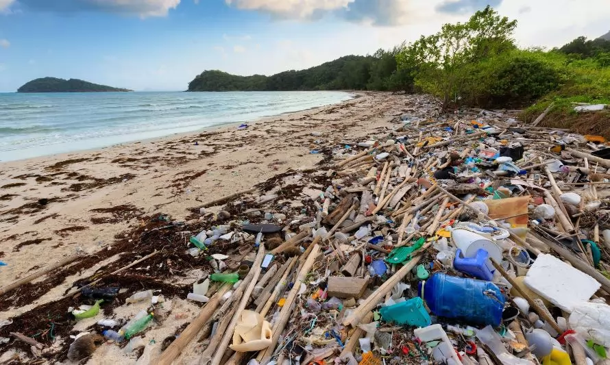 Empresas mundiales y ONGs anuncian alianza para acabar con la contaminación por plástico