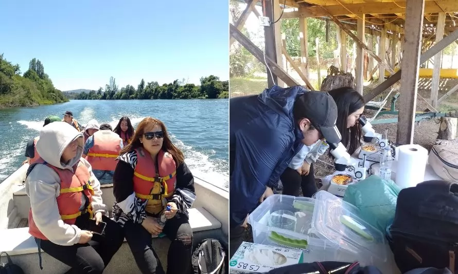 Estudiantes analizan los efectos de urbanización en sectores fluviales de Osorno