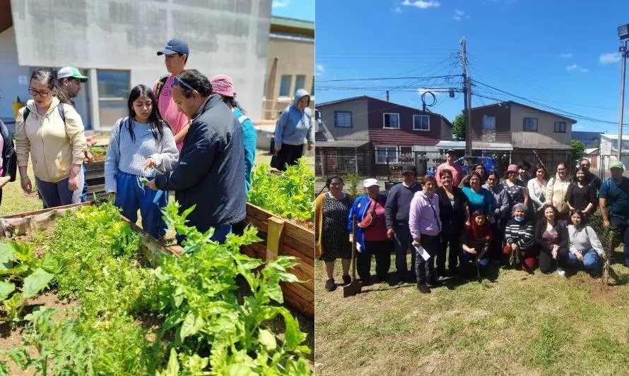 Estudiantes osorninos enseñan a vecinos a implementar un huerto urbano