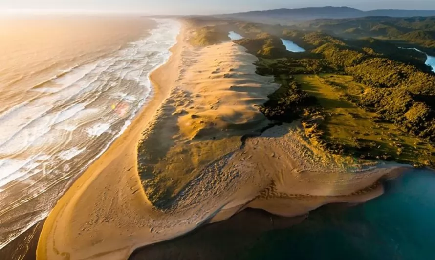 Conaf y The Nature Conservancy firman convenio para conservar el ecosistema de la costa valdiviana 