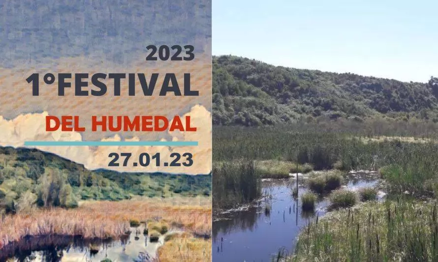 Invitan a participar del primer Festival del Humedal en Puerto Octay