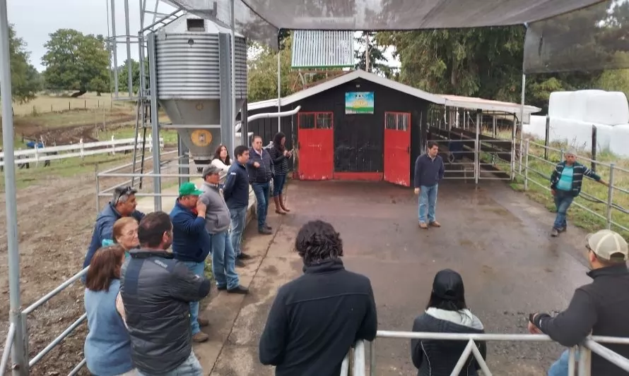 Cambio Climático: agricultores de Los Ríos conocen medidas para mejorar producción lechera 