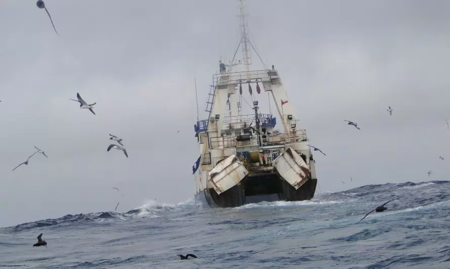 “Si no se termina con el aumento ilegal de cuotas nunca se recuperarán las pesquerías”: Oceana por informe de Subpesca