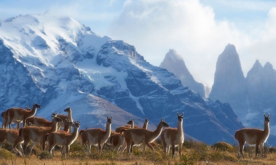 Torres del Paine. La norma busca conservar y proteger la biodiversidad del país. Crédito: Archivo.