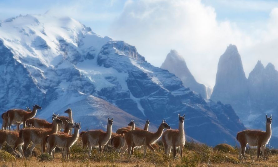 Avanza ley que crea el Servicio de Biodiversidad y Áreas Protegidas