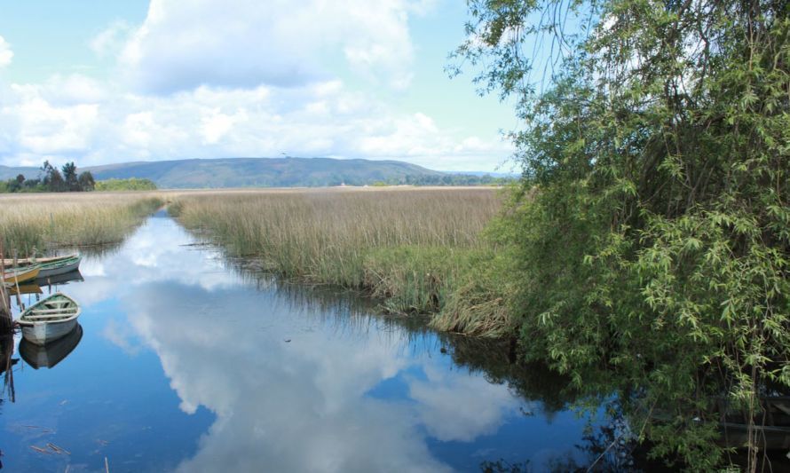 “Humedales en peligro”: ONG's en alerta por Ley que crea el Servicio de Biodiversidad y Áreas Protegidas 