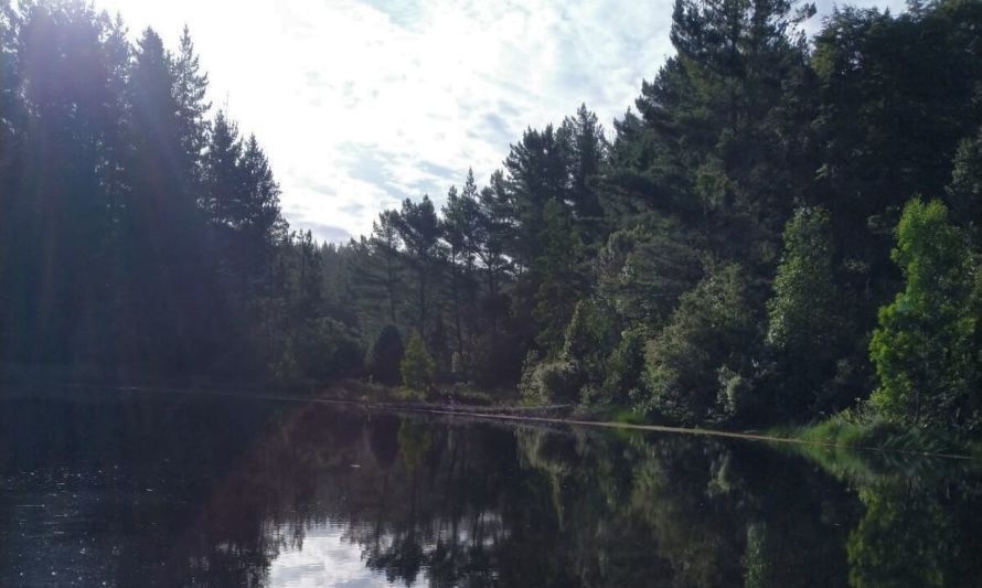 Laguna y humedal del sector donde se están realizando los trabajos. Crédito: Cedida.
