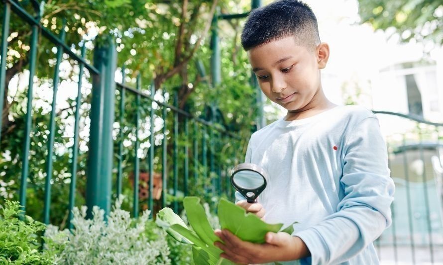 La actividad busca que niños descubran y conozcan la naturaleza. Crédito: Archivo.
