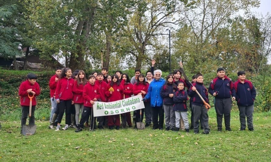 Estudiantes se suman a la acción ambiental que busca reforestar Osorno