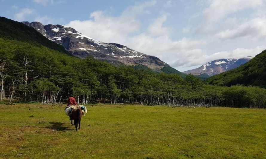 Buscan que sector Torres del Avellano se convierta en espacio de conservación a escala local 