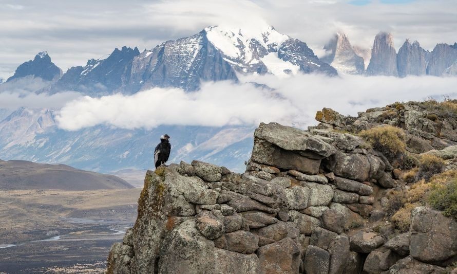 Del acuerdo a la acción: destacan relevancia del Día de la Diversidad Biológica este 2023