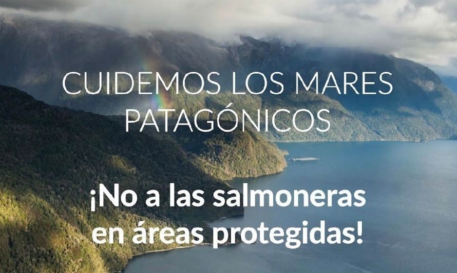 ONG's envían carta al Presidente Boric para poner fin a salmonicultura en áreas protegidas