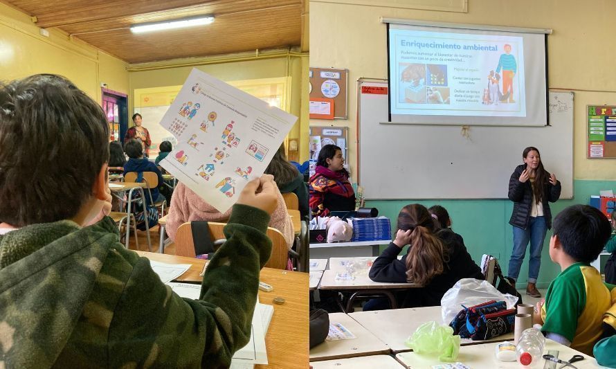 Tenencia responsable de mascotas: concluyen exitosamente capacitación para profesores de Los Ríos