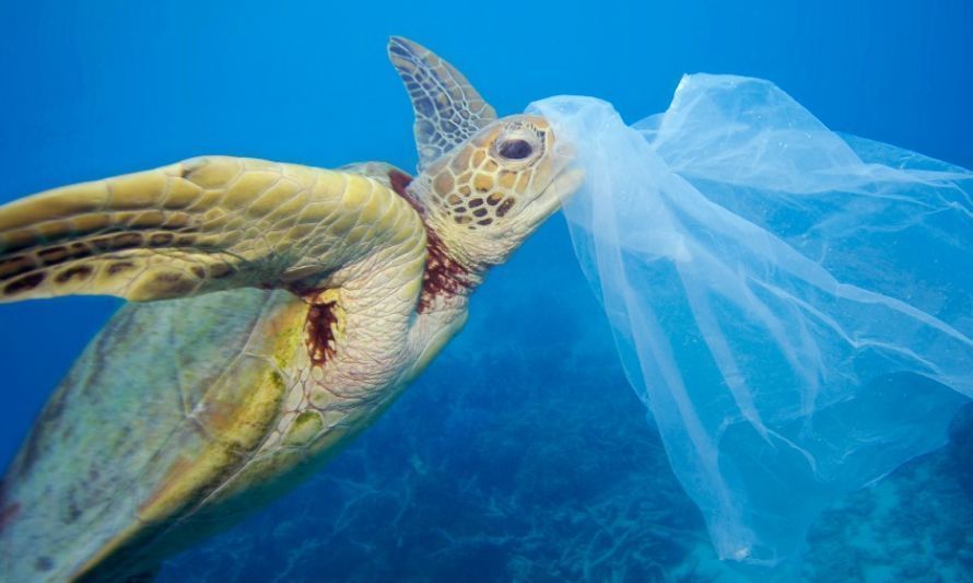 Desarrollarán borrador del tratado global que busca frenar la contaminación por plásticos