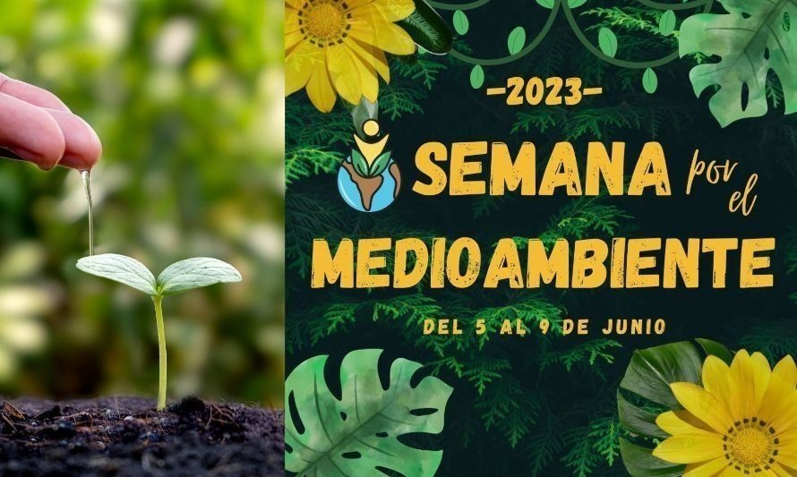 La fecha busca destacar la importancia de proteger el medio ambiente. Crédito: Archivo.