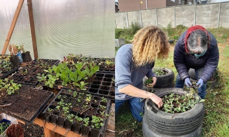 Anuncian nuevo ciclo de talleres de huertas agroecológicas en Valdivia 