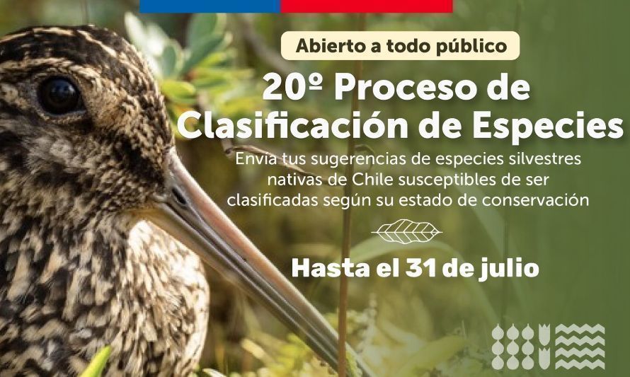 Invitan a la comunidad a participar en el nuevo proceso de Clasificación de Especies 2023 