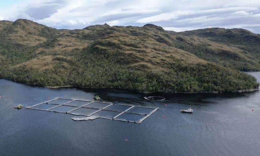 Tribunal ambiental nuevamente impide la instalación de salmonera en Reserva Nacional Kawésqar 