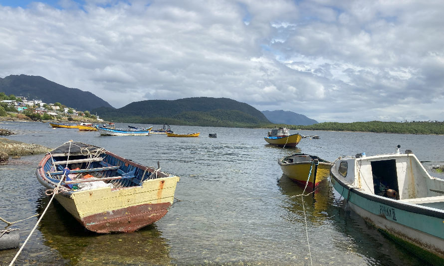 Microdocumental llama a la urgente protección de espacios costeros y marinos en islas Huichas 
