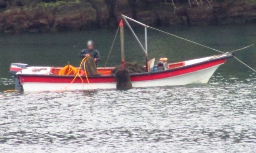 Sorprenden extracción ilegal en Reserva Marina Pullinque de Chiloé 