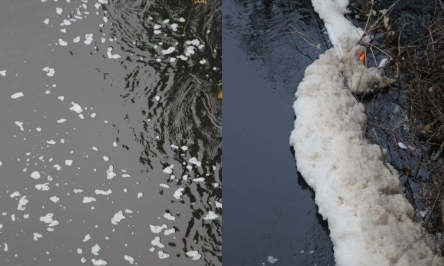 Denuncian nuevo episodio de contaminación en río Damas en Osorno 