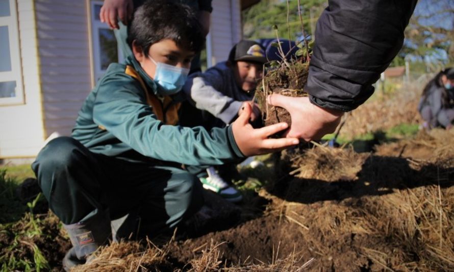 Un bosque en mi escuela: el programa con enfoque regenerativo para establecimientos rurales en Los Lagos