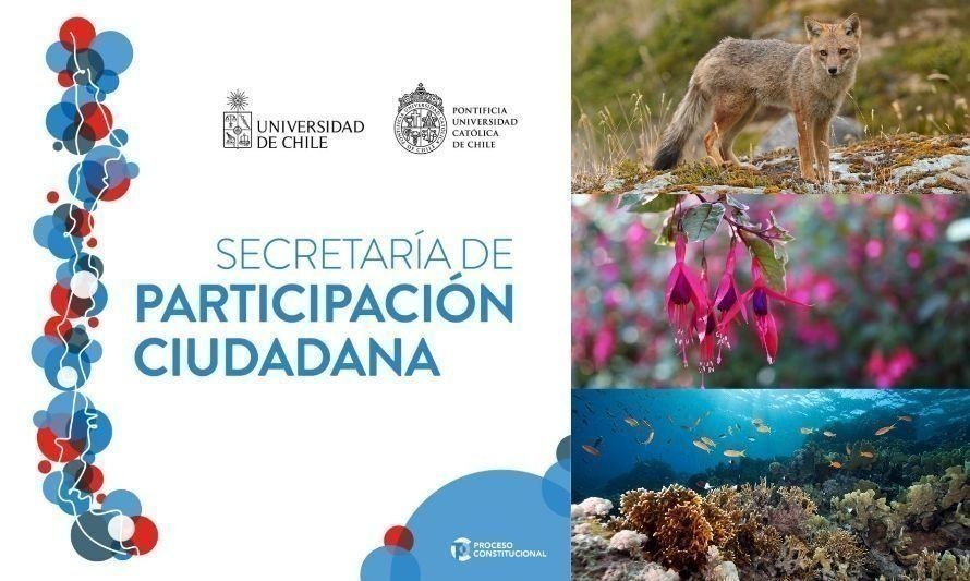 Últimos días para apoyar Iniciativas Populares medioambientales del proceso constituyente 