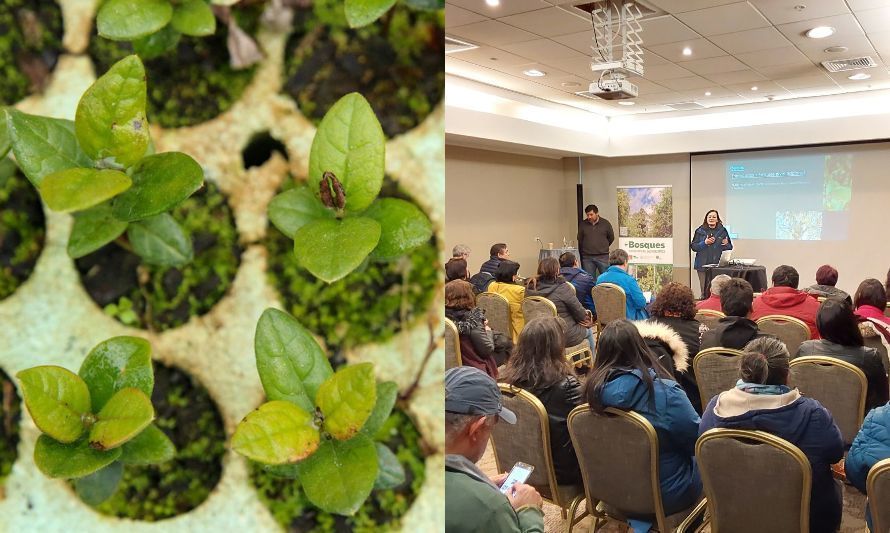 Comunidad osornina conoció la Estrategia Nacional de Cambio Climático 