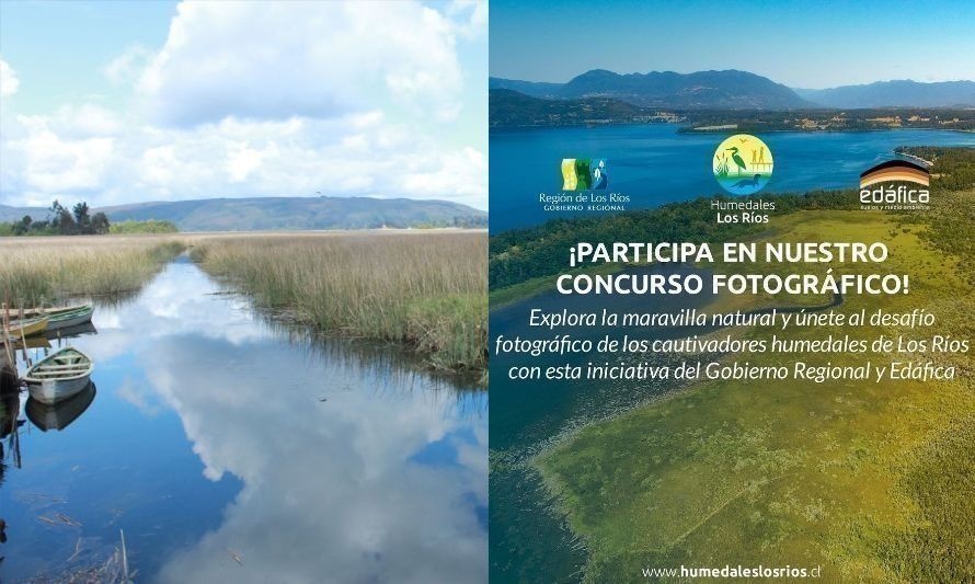 Aún queda tiempo para participar del concurso fotográfico "Humedales de Los Ríos 2023" 