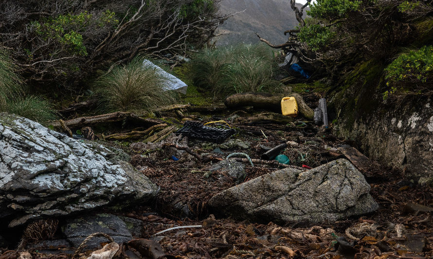 Greenpeace denuncia ante la justicia vertedero salmonero ilegal en la patagonia  