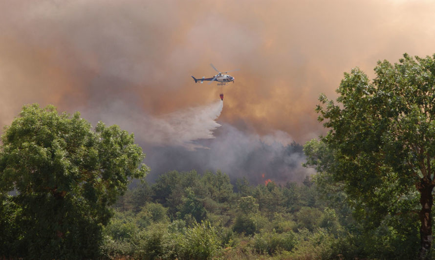 Advierten urgencia de contar con un Servicio Nacional Forestal para enfrentar impactos de crisis climática en Chile