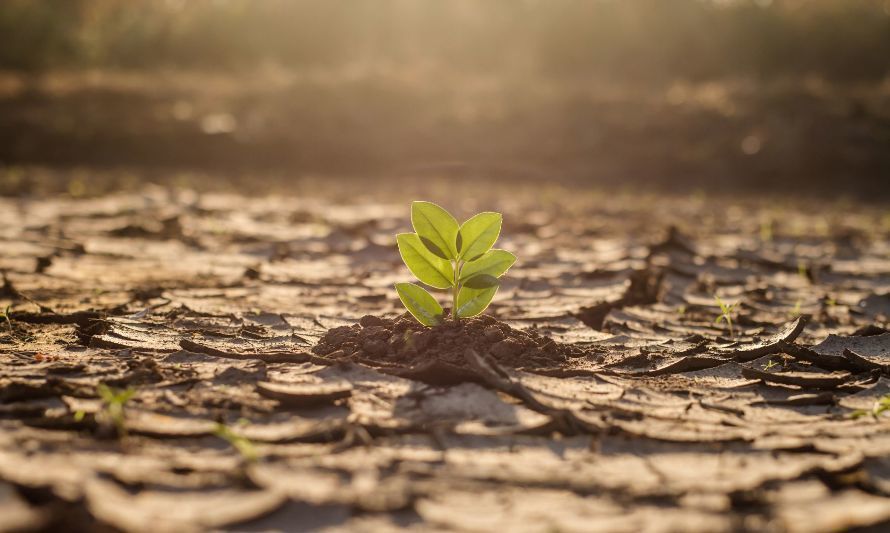 Invitan a seminario sobre Cambio Climático y Escasez Hídrica en Los Ríos