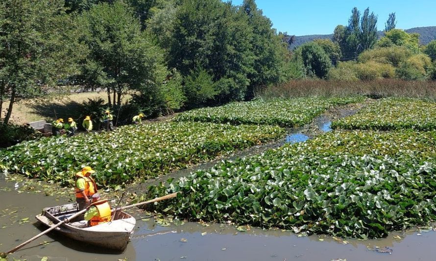 Abordan políticas de conservación en Plan Estratégico Comunal de Humedales para Valdivia