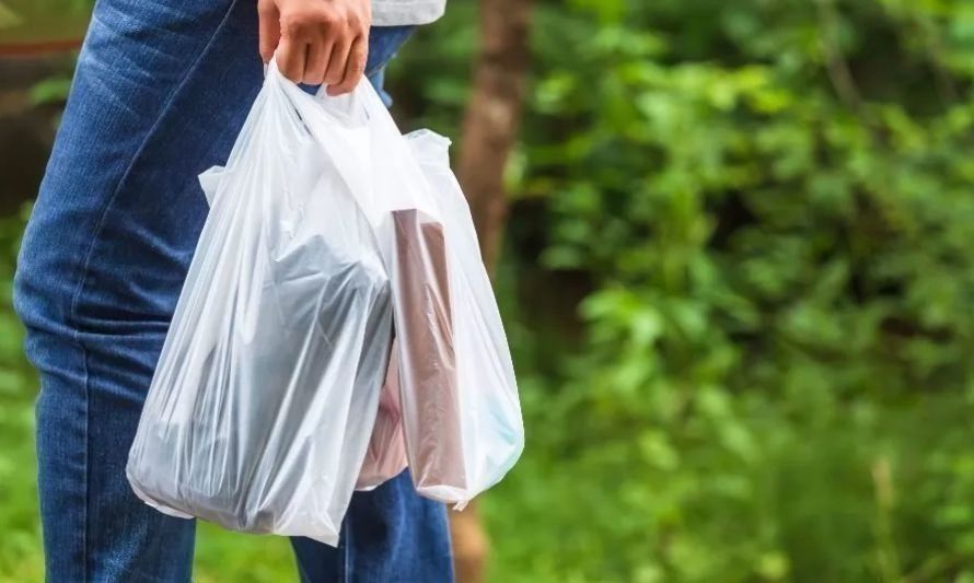 Balance y brechas: ley "Chao Bolsas Plásticas" conmemora quinto aniversario desde su implementación 