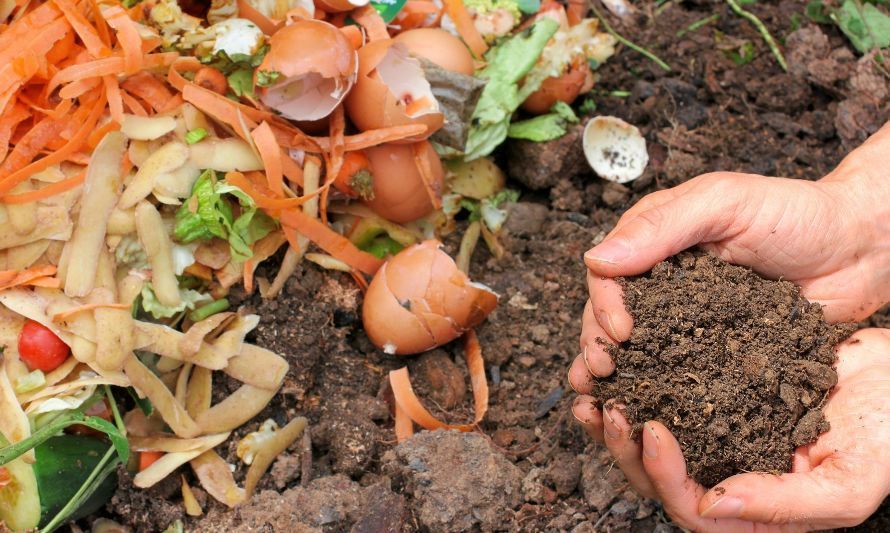 Anuncian proyecto de ley de reciclaje de residuos vegetales