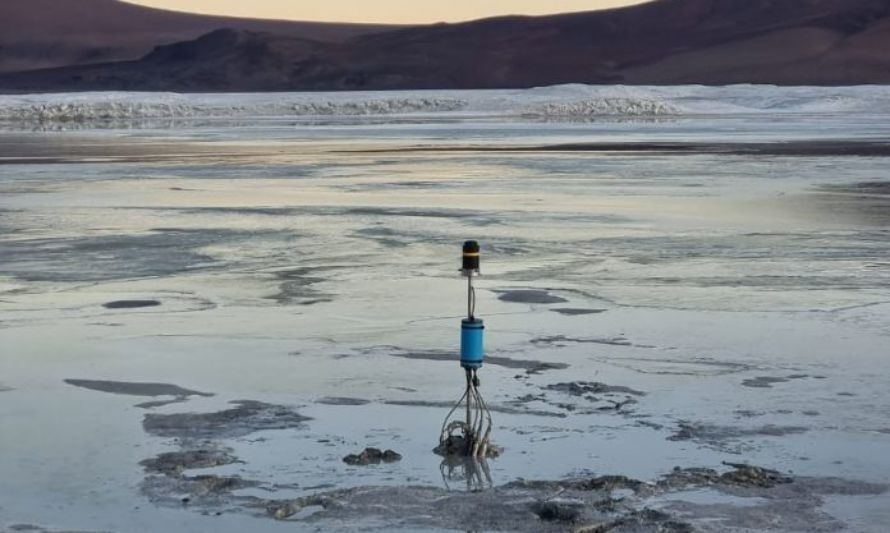 Menoko monitoreará en línea “salud” de los humedales de Chile