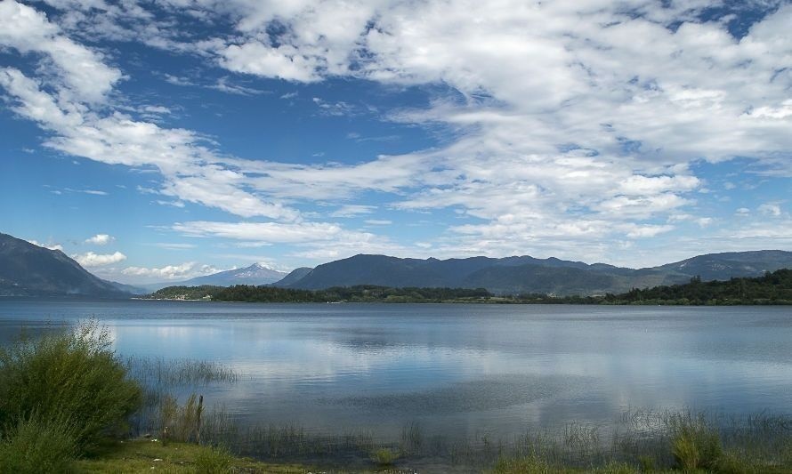 Pese a acuerdo conciliatorio señalan poco avance en mitigación de contaminación del lago Panguipulli 