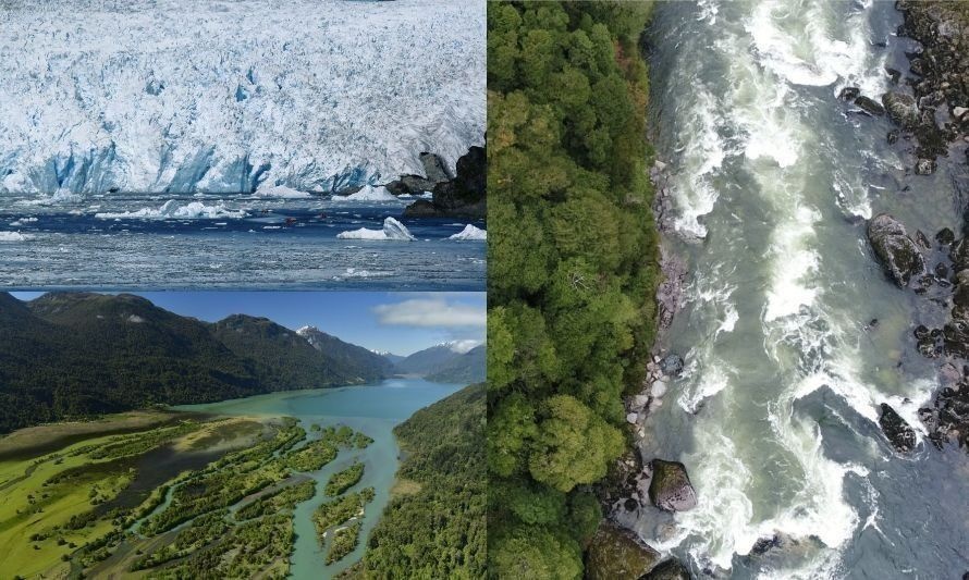 Ya es realidad: "Ley para la naturaleza" se encuentra publicada en el Diario Oficial