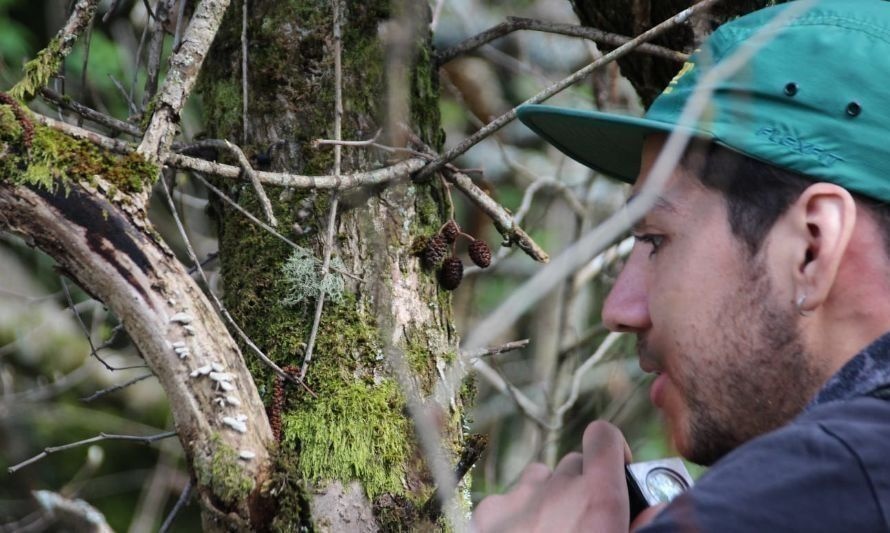 Los participantes podrán registrar la rica biodiversidad de la zona. Crédito: Kayakonsciente.