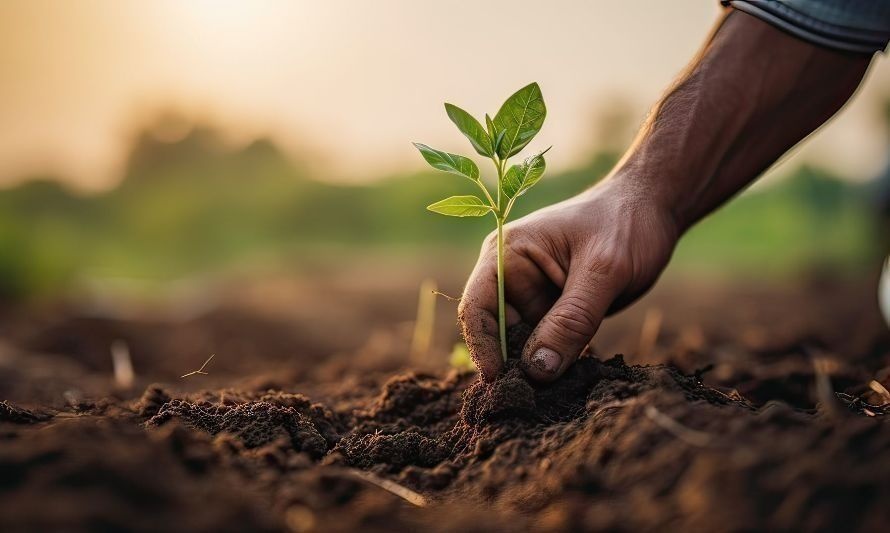 Día de la Conciencia Ambiental: la conmemoración de una tragedia en Argentina