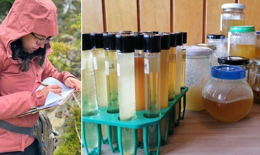 Científica de Aysén realizó proyecto para aportar valor a la apicultura 