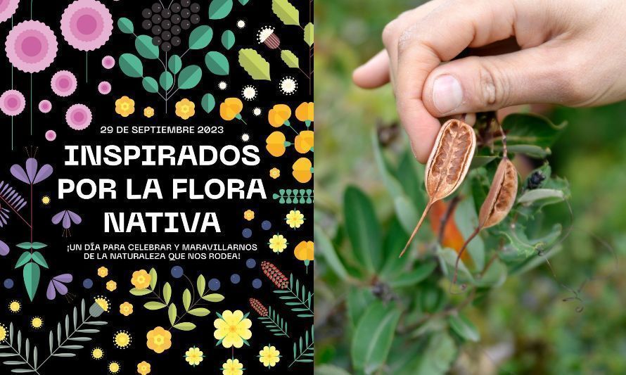 “Inspirados por la Flora Nativa” busca que ayseninos se maravillen y celebren la naturaleza 