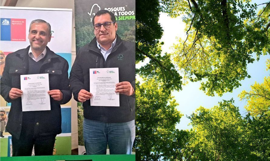 Conservar los bosques: alianza apoyará a propietarios forestales de Los Ríos