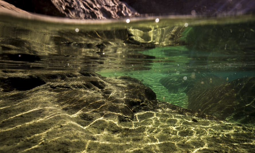 Informe de WWF aborda el valor económico del agua y la amenaza de la crisis hídrica 