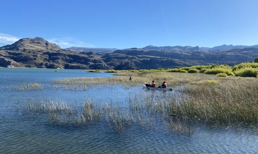 Región de Aysén ya tiene su primer humedal urbano: conoce a "Vientos del Chelenko"