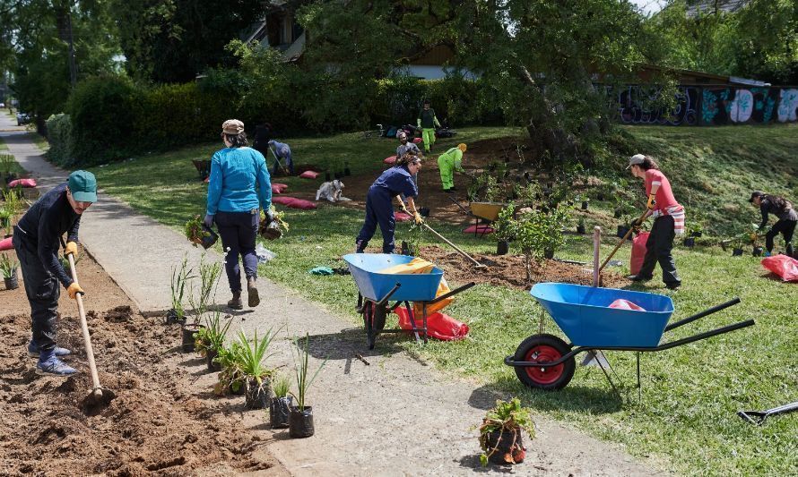 Jornadas de plantación comunitarias en Valdivia recuperarán antiguos microbasurales