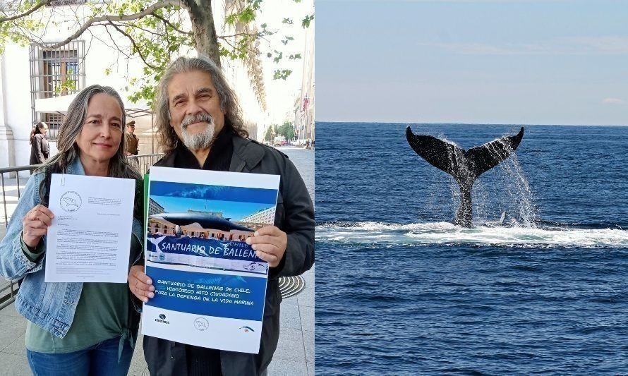 Organizaciones globales llaman al Gobierno a fortalecer santuario de ballenas de Chile